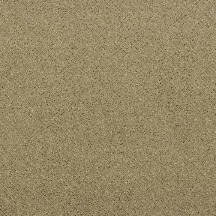Anderson Tuftex Mosaic — Folklore · ZZ076-00123 — flooring selection with LeviArs Design & Remodeling