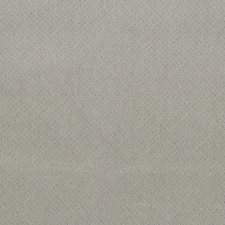 Anderson Tuftex Mosaic — Gentle Gray · ZZ076-00541 — flooring selection with LeviArs Design & Remodeling