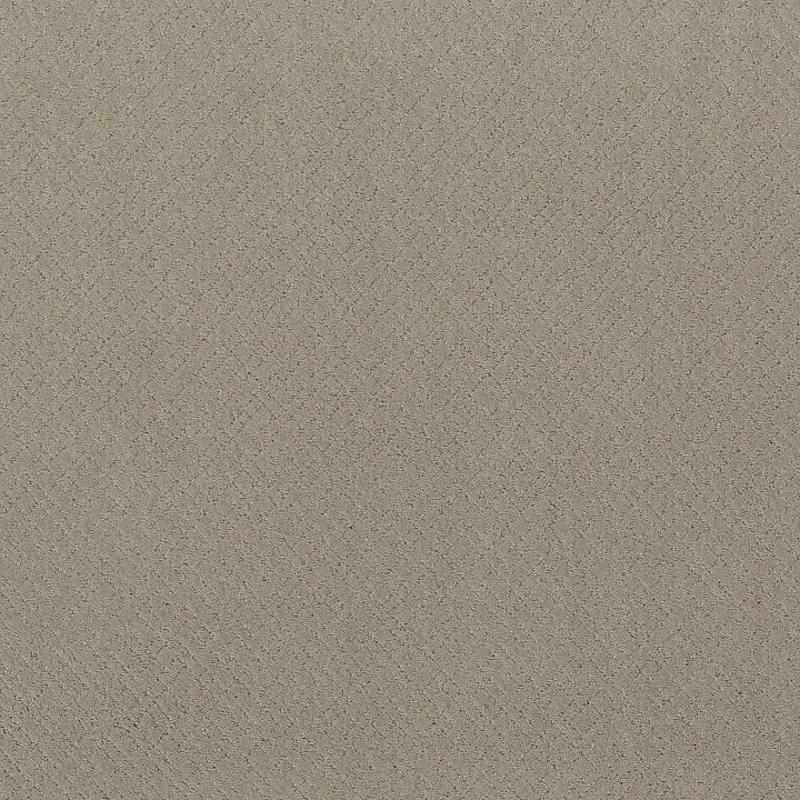 Anderson Tuftex Mosaic — Half Moon · ZZ076-00531 — flooring selection with LeviArs Design & Remodeling