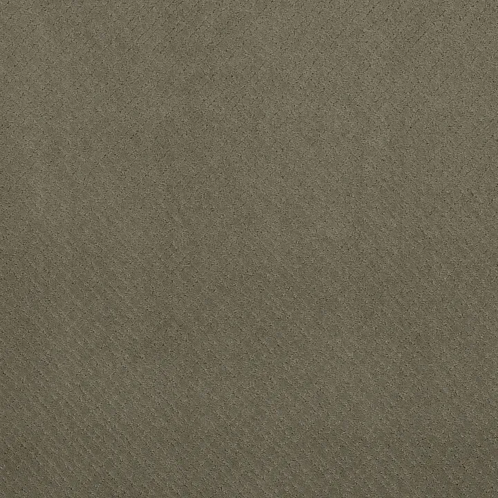 Anderson Tuftex Mosaic — Herbal · ZZ076-00535 — flooring selection with LeviArs Design & Remodeling