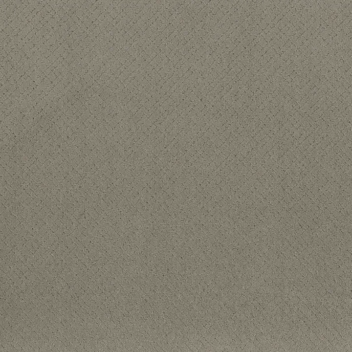 Anderson Tuftex Mosaic — Intrigue · ZZ076-00552 — flooring selection with LeviArs Design & Remodeling