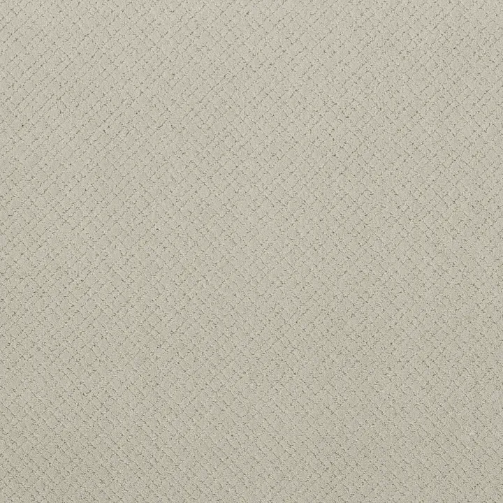 Anderson Tuftex Mosaic — Minimal · ZZ076-00112 — flooring selection with LeviArs Design & Remodeling