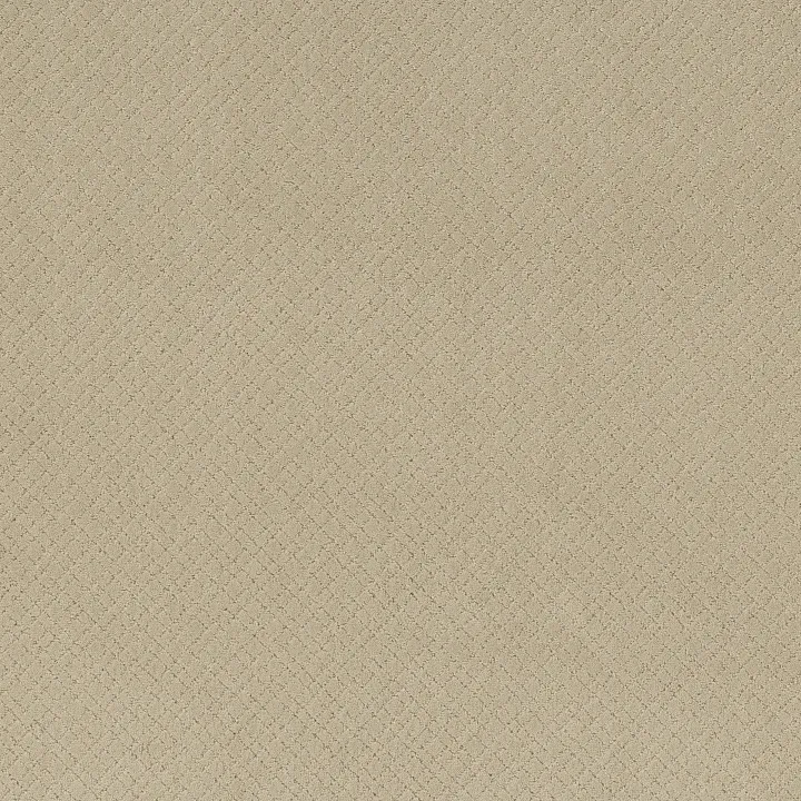 Anderson Tuftex Mosaic — Morning Light · ZZ076-00113 — flooring selection with LeviArs Design & Remodeling
