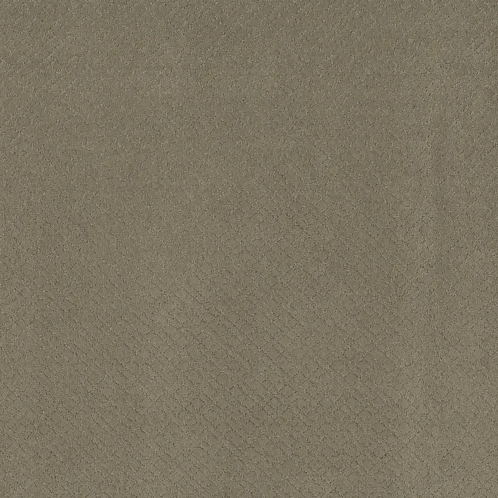 Anderson Tuftex Mosaic — Reflection · ZZ076-00512 — flooring selection with LeviArs Design & Remodeling