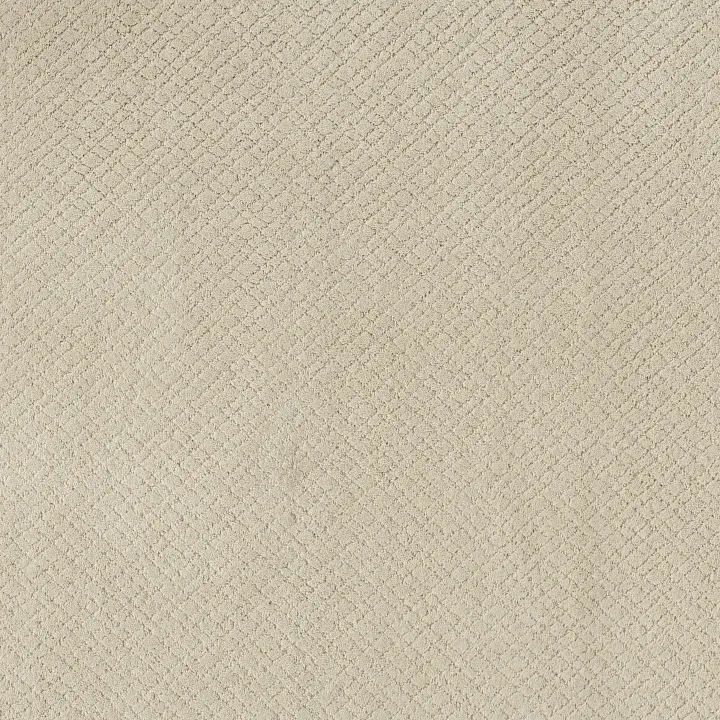 Anderson Tuftex Mosaic — Salt Box · ZZ076-00102 — flooring selection with LeviArs Design & Remodeling