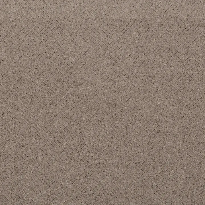 Anderson Tuftex Mosaic — Socialite · ZZ076-00851 — flooring selection with LeviArs Design & Remodeling