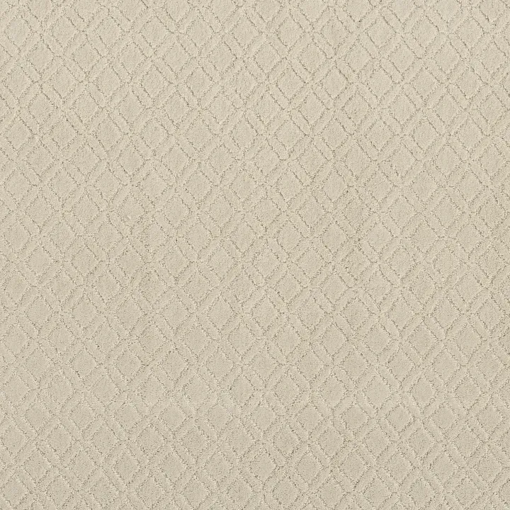Anderson Tuftex Muse — Almond Milk · ZZ078-00101 — flooring selection with LeviArs Design & Remodeling