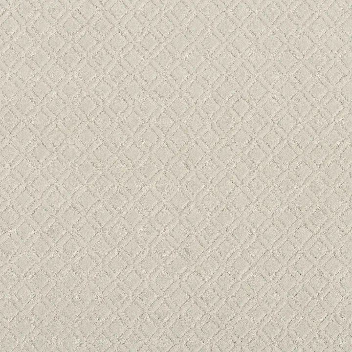 Anderson Tuftex Muse — Aria · ZZ078-00111 — flooring selection with LeviArs Design & Remodeling