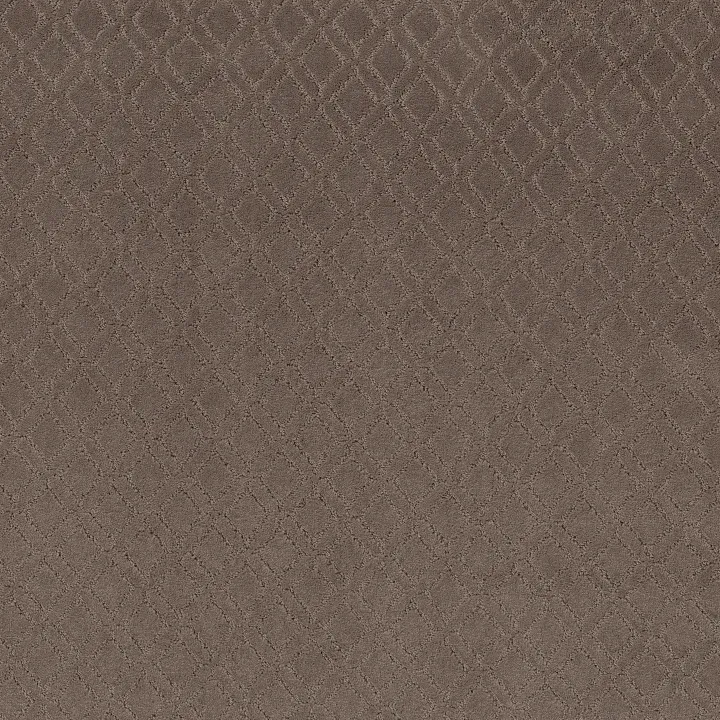 Anderson Tuftex Muse — Chantrelle · ZZ078-00857 — flooring selection with LeviArs Design & Remodeling