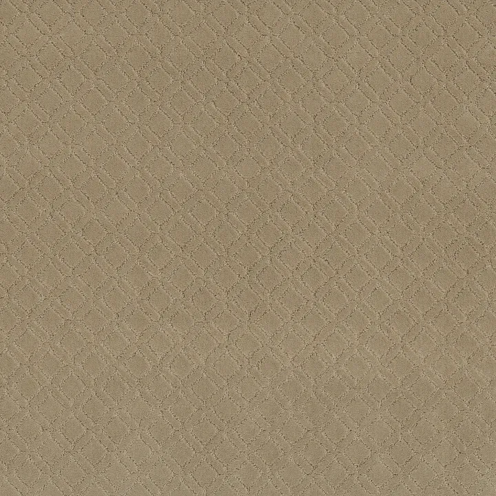 Anderson Tuftex Muse — Coronado · ZZ078-00115 — flooring selection with LeviArs Design & Remodeling