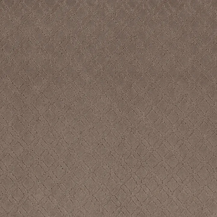 Anderson Tuftex Muse — Enigma · ZZ078-00854 — flooring selection with LeviArs Design & Remodeling