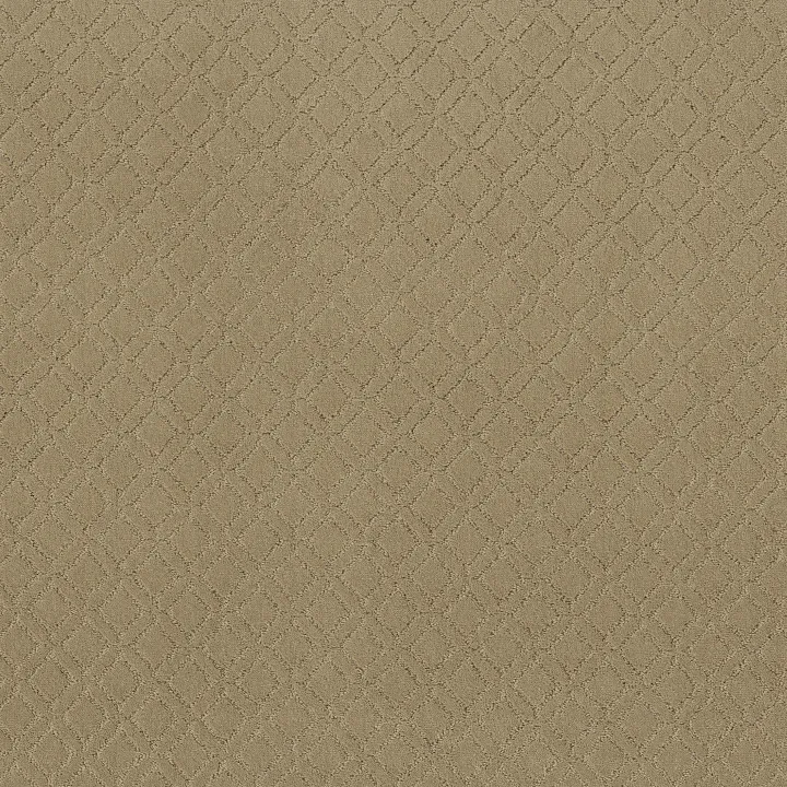 Anderson Tuftex Muse — Folklore · ZZ078-00123 — flooring selection with LeviArs Design & Remodeling
