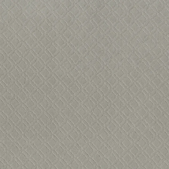 Anderson Tuftex Muse — Gentle Gray · ZZ078-00541 — flooring selection with LeviArs Design & Remodeling