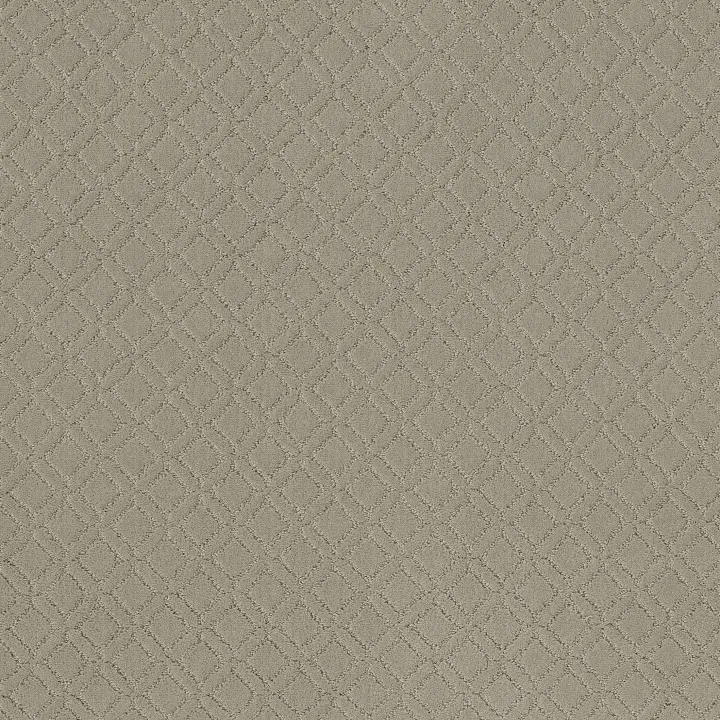 Anderson Tuftex Muse — Half Moon · ZZ078-00531 — flooring selection with LeviArs Design & Remodeling