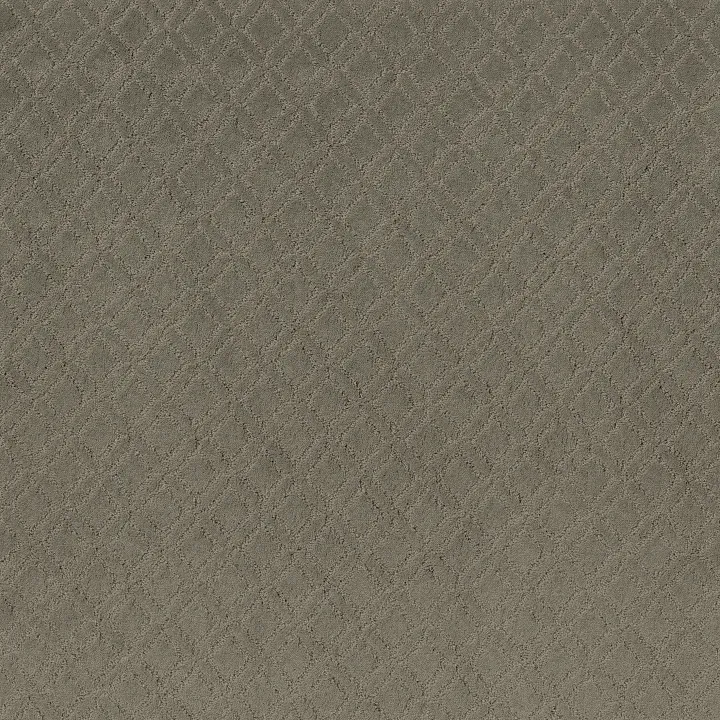 Anderson Tuftex Muse — Herbal · ZZ078-00535 — flooring selection with LeviArs Design & Remodeling