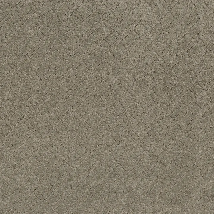 Anderson Tuftex Muse — Imperial · ZZ078-00532 — flooring selection with LeviArs Design & Remodeling
