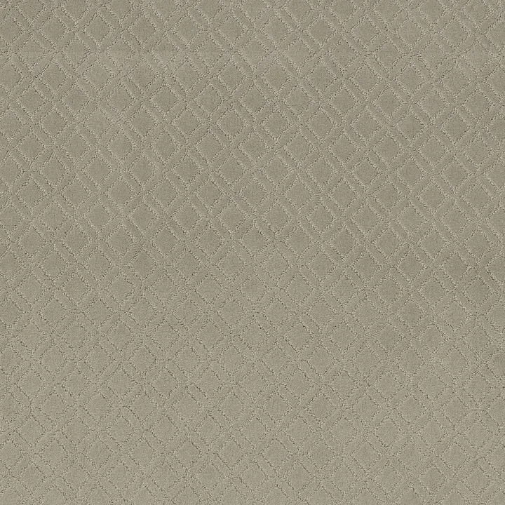 Anderson Tuftex Muse — Inner Balance · ZZ078-00511 — flooring selection with LeviArs Design & Remodeling