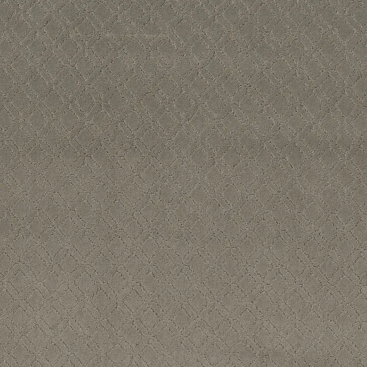 Anderson Tuftex Muse — Intrigue · ZZ078-00552 — flooring selection with LeviArs Design & Remodeling