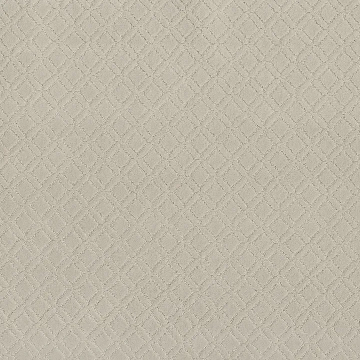 Anderson Tuftex Muse — Minimal · ZZ078-00112 — flooring selection with LeviArs Design & Remodeling