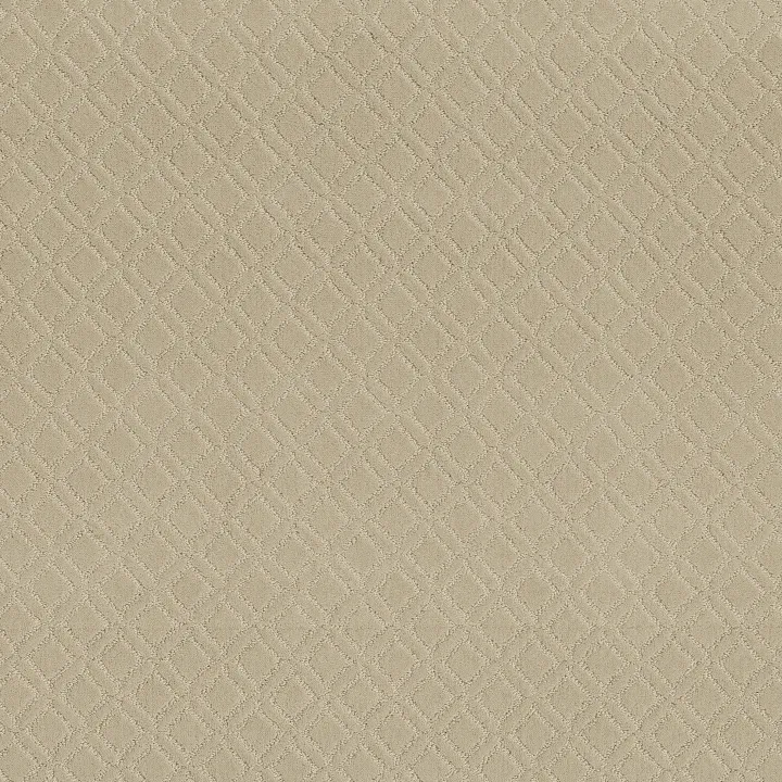Anderson Tuftex Muse — Morning Light · ZZ078-00113 — flooring selection with LeviArs Design & Remodeling