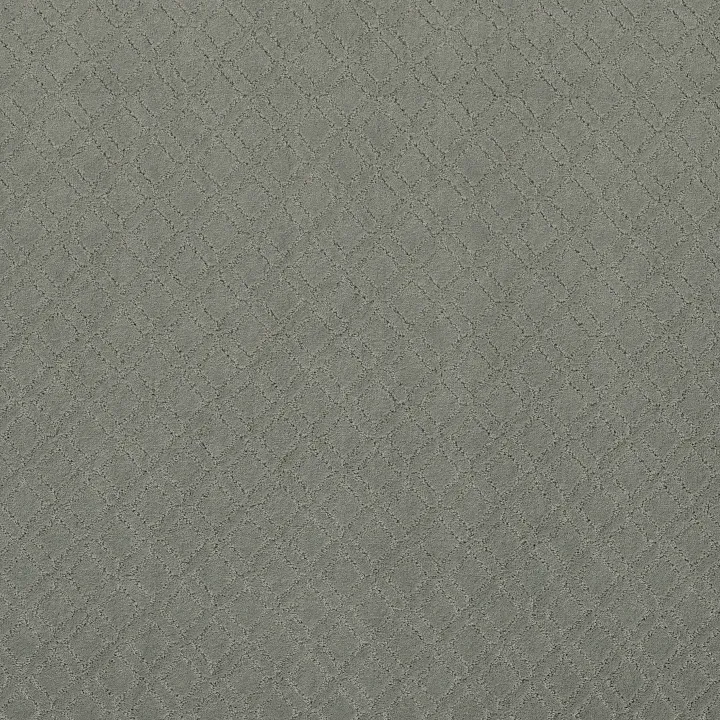Anderson Tuftex Muse — Pine Forest · ZZ078-00314 — flooring selection with LeviArs Design & Remodeling