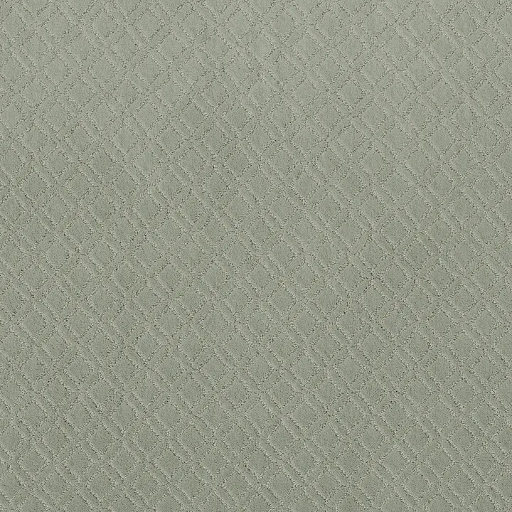 Anderson Tuftex Muse — Rain Dance · ZZ078-00311 — flooring selection with LeviArs Design & Remodeling