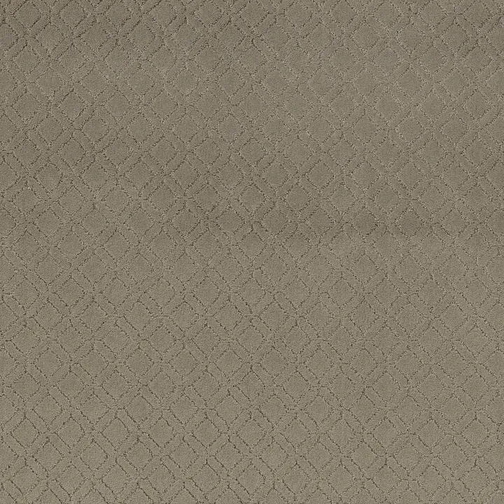 Anderson Tuftex Muse — Reflection · ZZ078-00512 — flooring selection with LeviArs Design & Remodeling