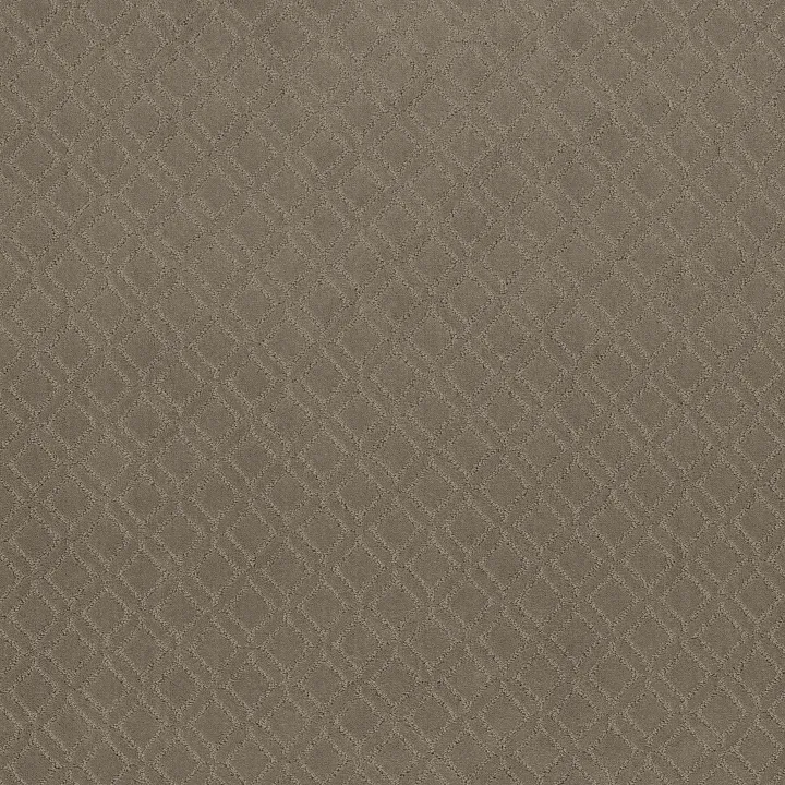 Anderson Tuftex Muse — Rockport · ZZ078-00515 — flooring selection with LeviArs Design & Remodeling