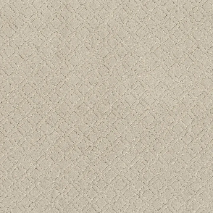 Anderson Tuftex Muse — Salt Box · ZZ078-00102 — flooring selection with LeviArs Design & Remodeling