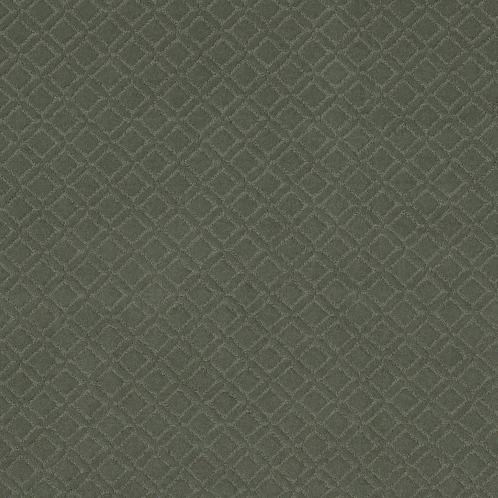 Anderson Tuftex Muse — Wonder · ZZ078-00316 — flooring selection with LeviArs Design & Remodeling