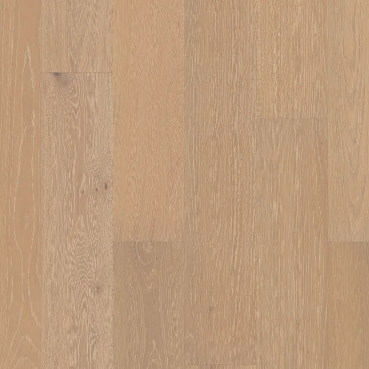 Anderson Tuftex Noble Hall — Countess · AA816-01011 — flooring selection with LeviArs Design & Remodeling