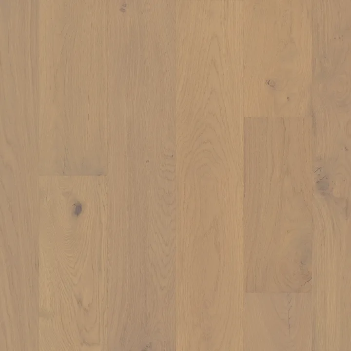 Anderson Tuftex Noble Hall — Duchess · AA816-01020 — flooring selection with LeviArs Design & Remodeling