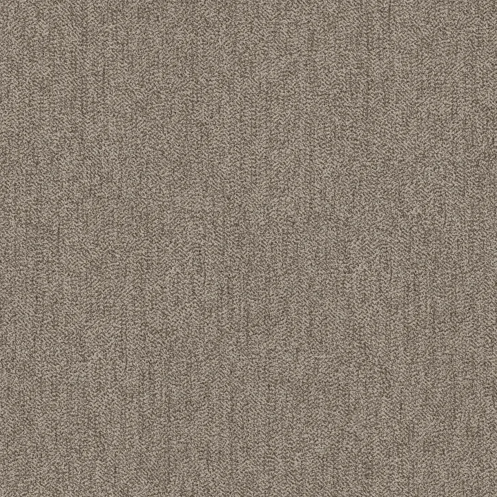 Anderson Tuftex Obscura — Backlit · ZZ414-00113 — flooring selection with LeviArs Design & Remodeling