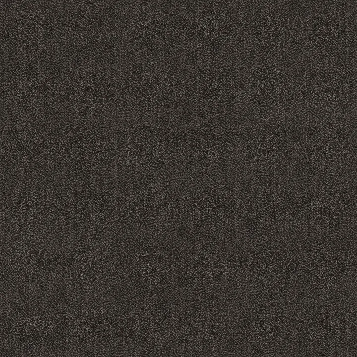 Anderson Tuftex Obscura — Blur · ZZ414-00502 — flooring selection with LeviArs Design & Remodeling