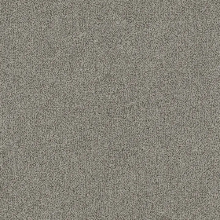Anderson Tuftex Obscura — Cloudveil · ZZ414-00400 — flooring selection with LeviArs Design & Remodeling