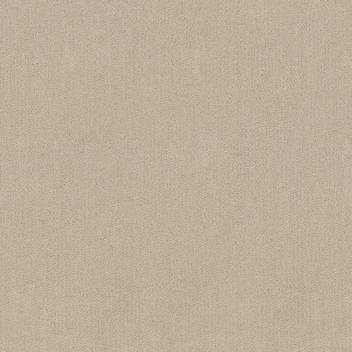 Anderson Tuftex Obscura — Dappled · ZZ414-00103 — flooring selection with LeviArs Design & Remodeling