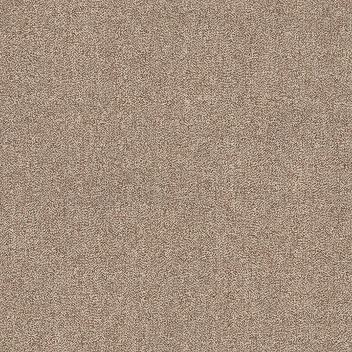 Anderson Tuftex Obscura — Daybreak · ZZ414-00112 — flooring selection with LeviArs Design & Remodeling