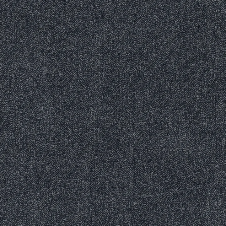 Anderson Tuftex Obscura — Diffuse · ZZ414-00401 — flooring selection with LeviArs Design & Remodeling