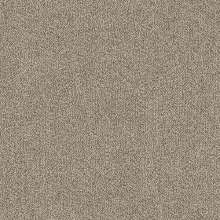 Anderson Tuftex Obscura — Filmgrain · ZZ414-00105 — flooring selection with LeviArs Design & Remodeling