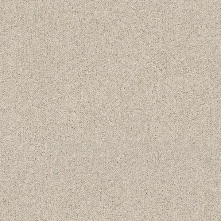 Anderson Tuftex Obscura — Lucent · ZZ414-00101 — flooring selection with LeviArs Design & Remodeling