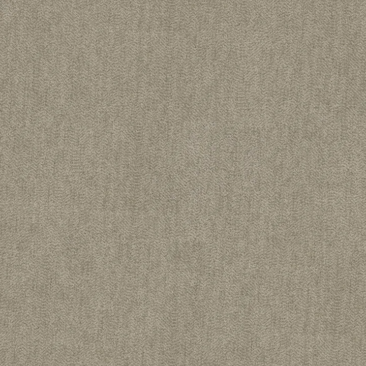 Anderson Tuftex Obscura — Meadow · ZZ414-00300 — flooring selection with LeviArs Design & Remodeling