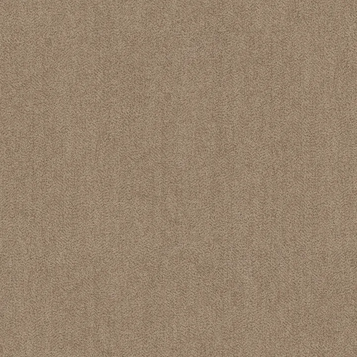 Anderson Tuftex Obscura — Midtone · ZZ414-00700 — flooring selection with LeviArs Design & Remodeling