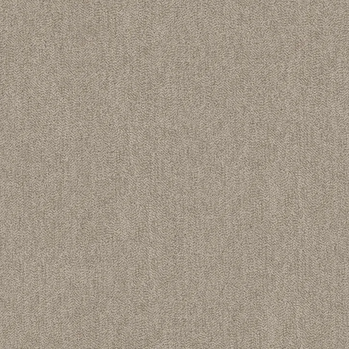 Anderson Tuftex Obscura — Overcast · ZZ414-00110 — flooring selection with LeviArs Design & Remodeling