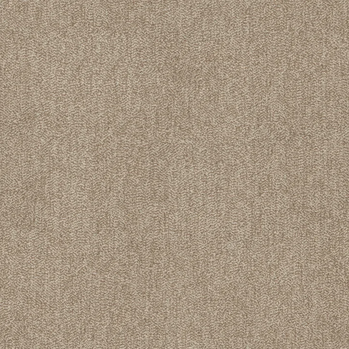 Anderson Tuftex Obscura — Sepia · ZZ414-00111 — flooring selection with LeviArs Design & Remodeling