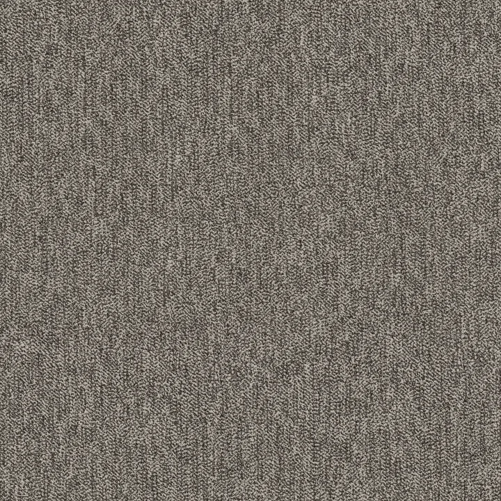Anderson Tuftex Obscura — Shadowline · ZZ414-00109 — flooring selection with LeviArs Design & Remodeling