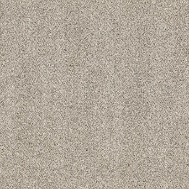 Anderson Tuftex Obscura — Silverglass · ZZ414-00104 — flooring selection with LeviArs Design & Remodeling