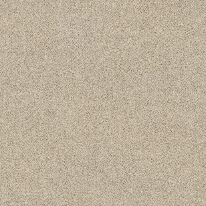 Anderson Tuftex Obscura — Sunbleach · ZZ414-00102 — flooring selection with LeviArs Design & Remodeling