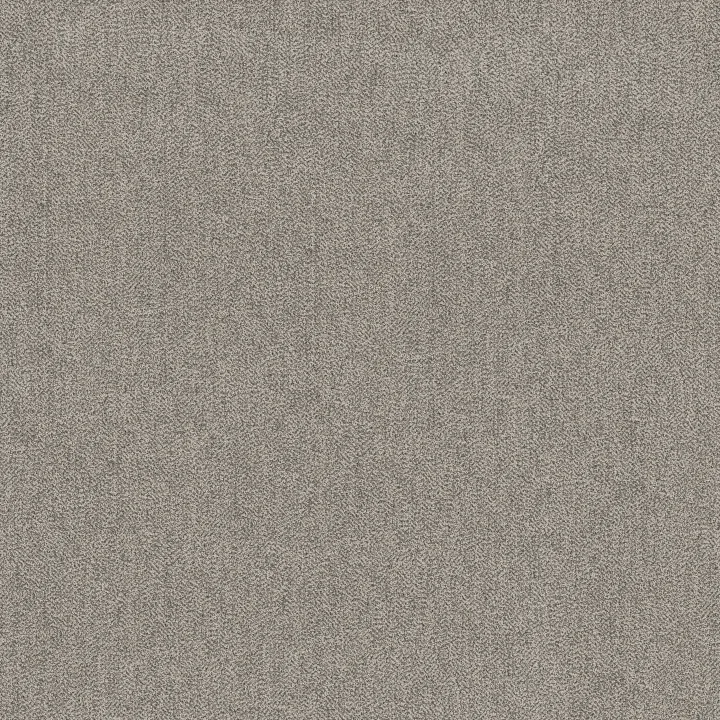 Anderson Tuftex Obscura — Vignette · ZZ414-00114 — flooring selection with LeviArs Design & Remodeling