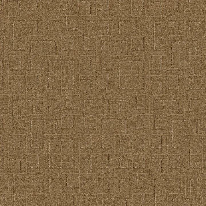 Anderson Tuftex Path — Amber Waves · ZZ293-00276 — flooring selection with LeviArs Design & Remodeling