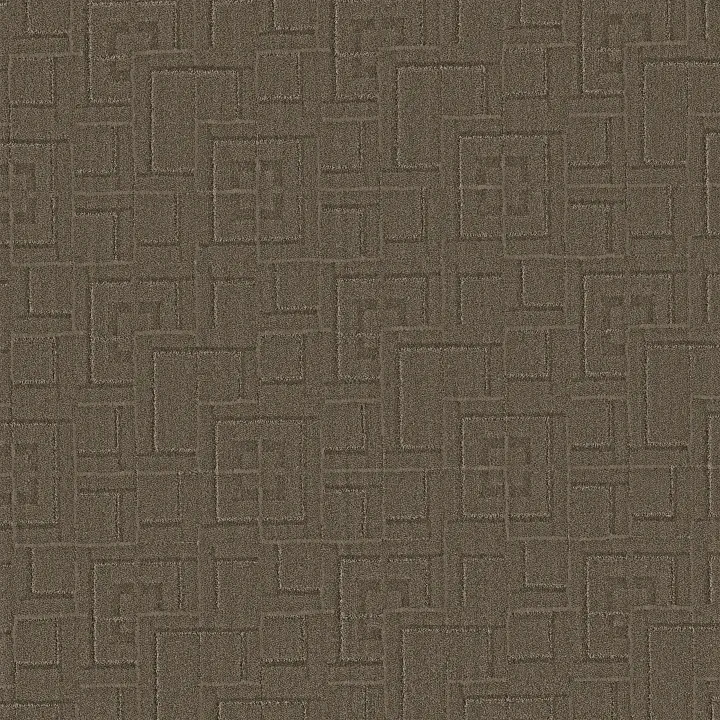 Anderson Tuftex Path — Ancient · ZZ293-00757 — flooring selection with LeviArs Design & Remodeling